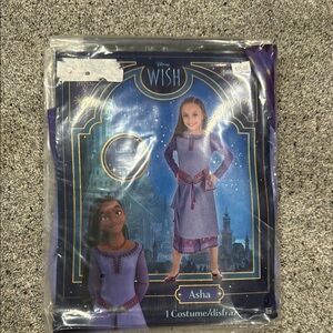 Disney Wish Asha Dress in Purple